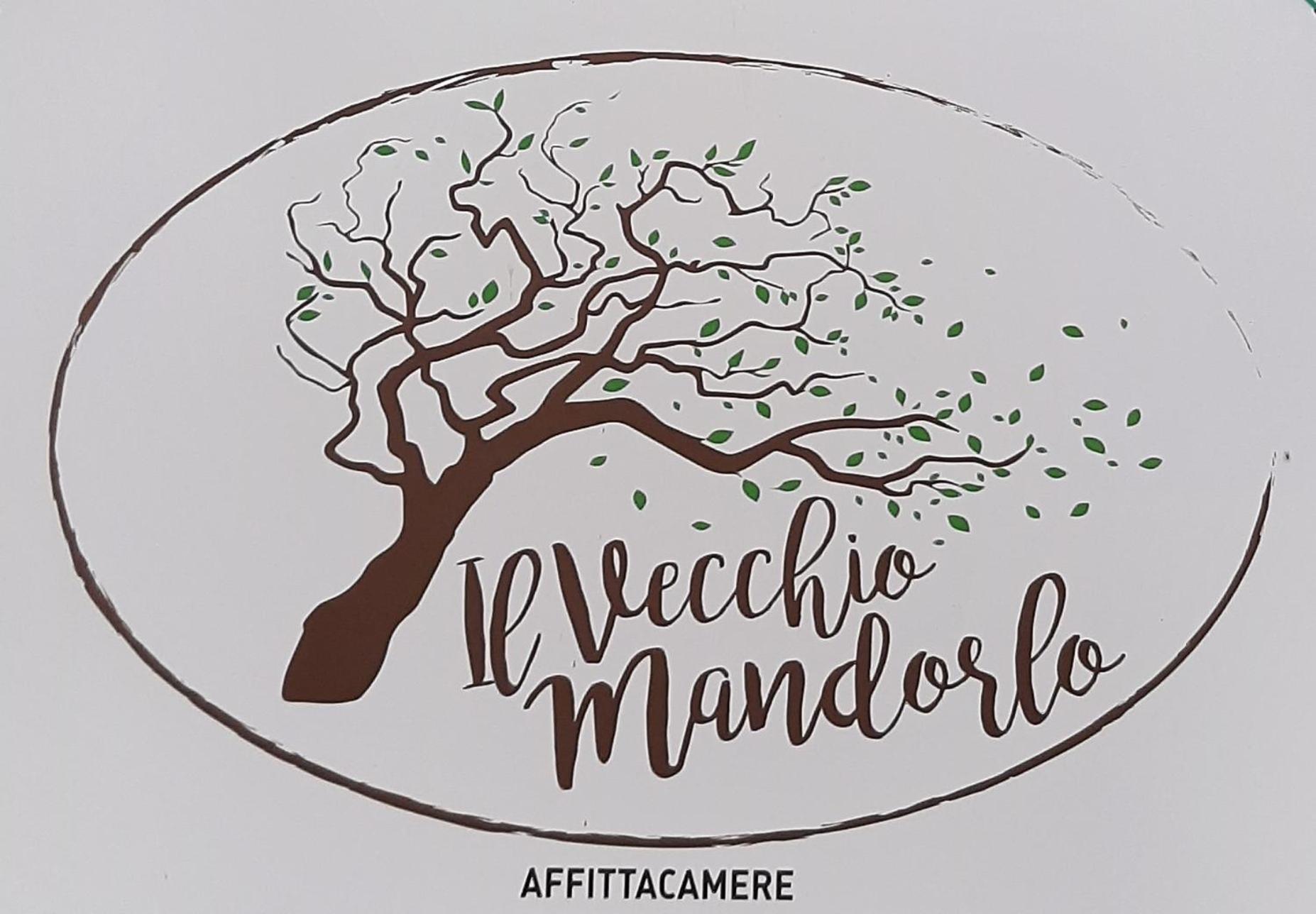 Affittacamere Il Vecchio Mandorlo Quarrata Eksteriør billede